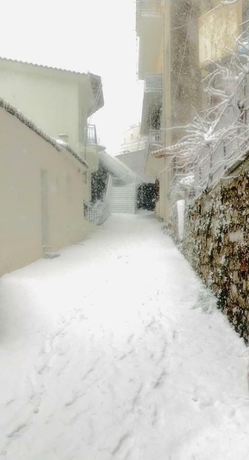 Konaki Tselepi Arachova Dış mekan fotoğraf