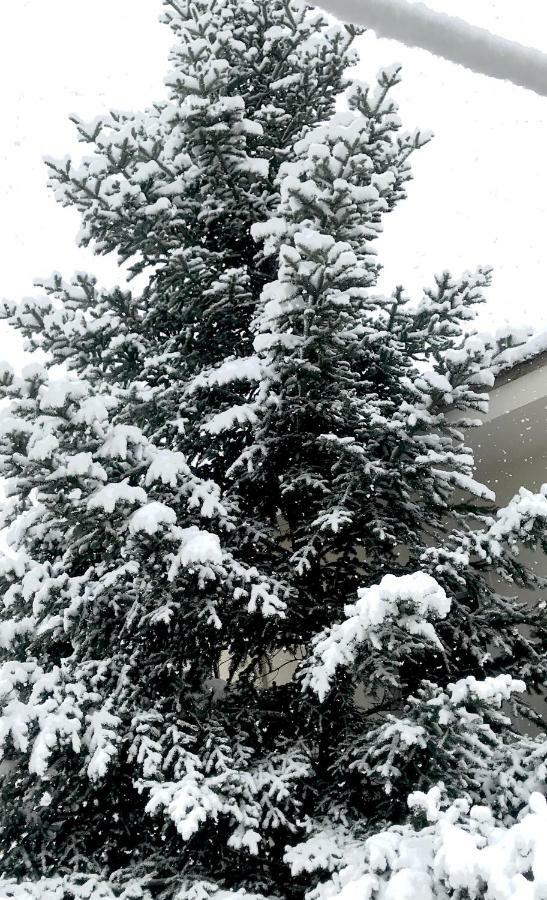 Konaki Tselepi Arachova Dış mekan fotoğraf